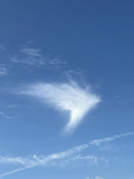 おはようございます🌞️‪🌱‬☁ | Number Five なな