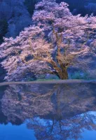 10時から♡♡♡ | 人妻セゾン りょう