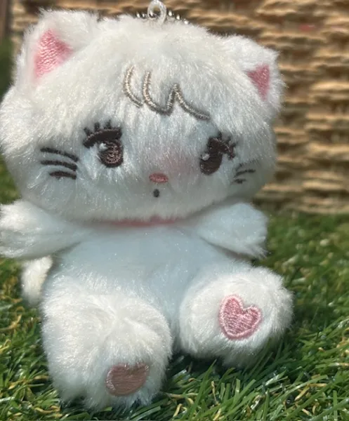🎀🐾 | ラブコレクション 【未経験】ありあ