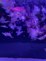 AMATERAS👠パイもお顔も全部イイッ！！ご期待ください | AMATERAS-アマテラス- 【スタッフ】スタッフブログ