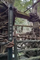 こんばんは😊 | 人妻セゾン さなえ