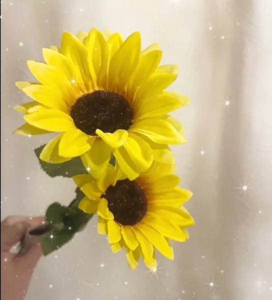 出勤しました🌻 | ラブコレクション わかな