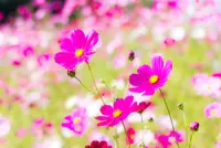 ★ありがとうございました★ | 人妻セゾン ほたる