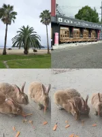 こんばんは♬ | 人妻セゾン さなえ