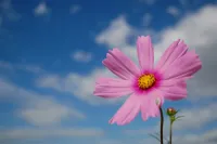 とっさのひとこと | 人妻セゾン ほたる