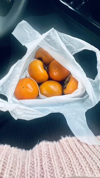 どっち派？か↑き？か→き？ | －PTA－ つきのさん