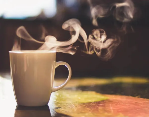 ほっ。とね♡ | －PTA－ ゆらりさん