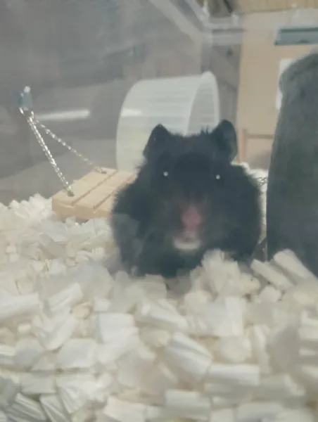 カタカタカタ笑 | －PTA－ れいらさん