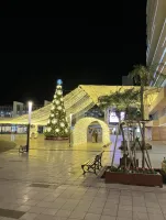 .｡.:･ﾟ♡･:.｡. | －PTA－ ゆめかさん