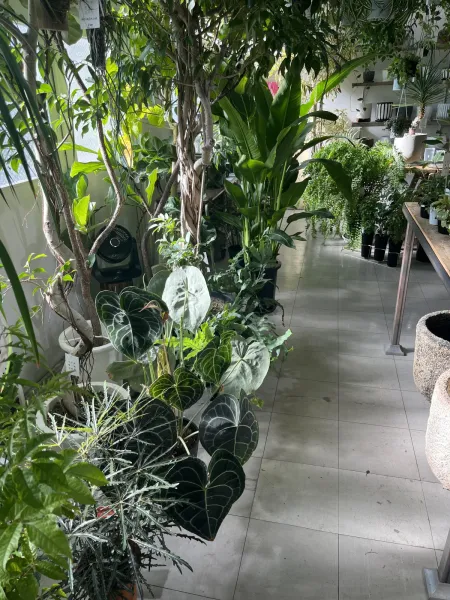 しゅっ♡ | －PTA－ イオさん