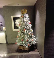 もうすぐ… | －PTA－ ゆめかさん