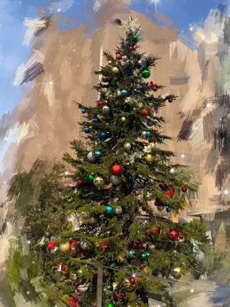 Merry Xmas🎅🏻🎄 | ラブコレクション わかな