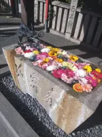 感謝✨ | －PTA－ ゆめかさん