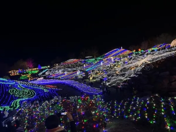 ありがとう♡ | －PTA－ 桜子さん