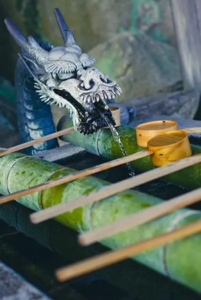 無題 | －PTA－ つきのさん