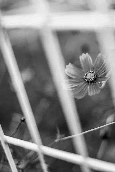 私のフェチは… | －PTA－ つきのさん