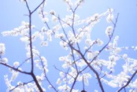 ☆イェカンニェル☆ | 人妻セゾン ほたる