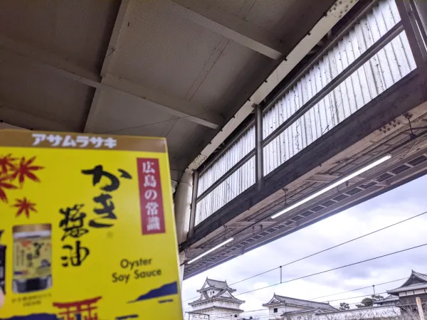 帰ります | 五十路マダム愛されたい熟女たち　福山店　(カサブランカグループ) 【新人】月森琴音