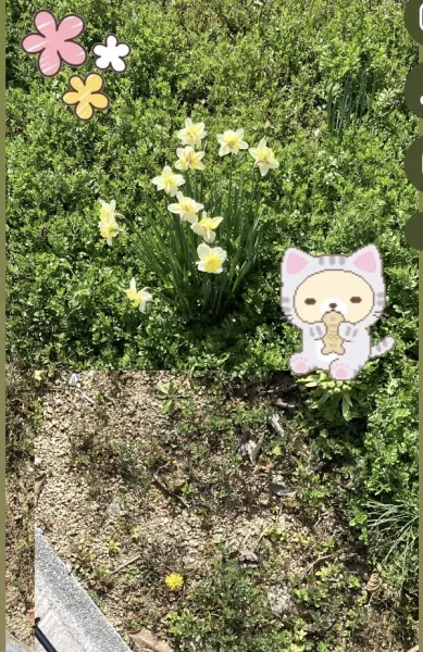 おはようございます | ラブコレクション みな