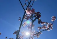 お礼 | －PTA－ 【体験】まいさん