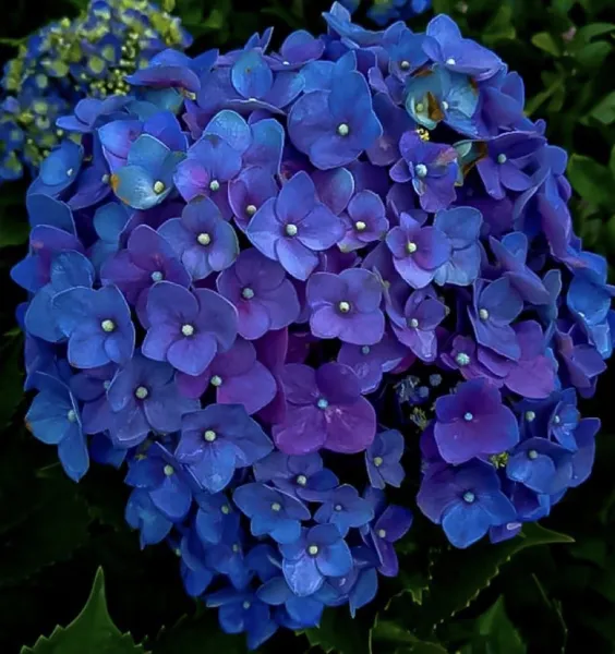 ◝(⑅•ᴗ•⑅)◜..°♡ | ラブコレクション みり