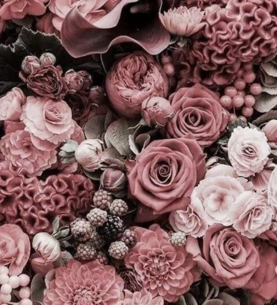 (◍ ´꒳` ) | ラブコレクション みり