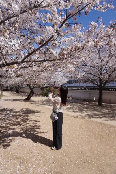今年は桜の木が長いこと咲いてる気がします！🌸 | レンタル彼女 のぞみ