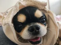 不思議な体験 | いちゃいちゃパラダイス福山店(Will-next group) 【新人】なな