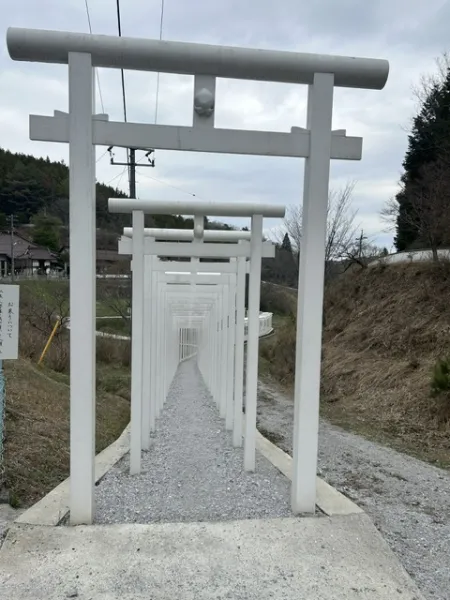 出勤します🌷 | ラブコレクション まい