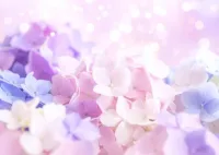 おやすみなさい🎀 | 人妻セゾン かりな
