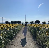 8月ラスト出勤🌻💛 | AMATERAS-アマテラス- Ｓhiro(しろ)