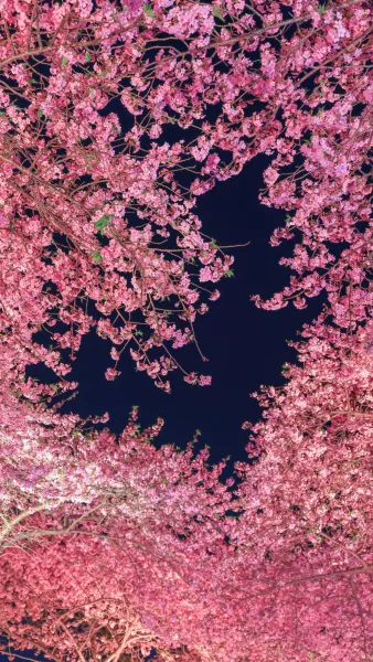 これからも🧡 | ♡人材派遣りっぷる♡～素人・人妻・熟女専門店～ ゆめか