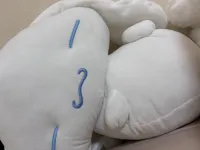 実は毎晩この子たちと寝てます…😴🤍 | AMATERAS-アマテラス- Ａmu（あむ）