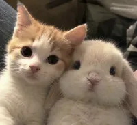 10/5(月) ビーノ408新規様へ🐹 | AMATERAS-アマテラス- Ａmu（あむ）