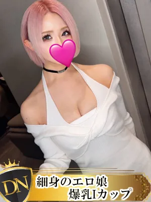 デリナビ（デリナビゲーション） レイラ