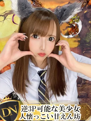 デリナビ（デリナビゲーション） おひな